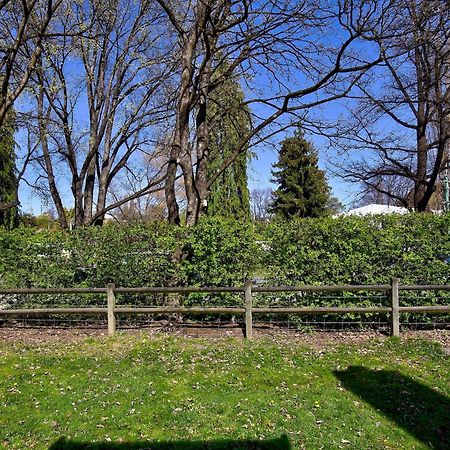 Aberdeen Cottage - Nestled In The Heart Of Arrowtown - New! 外观 照片